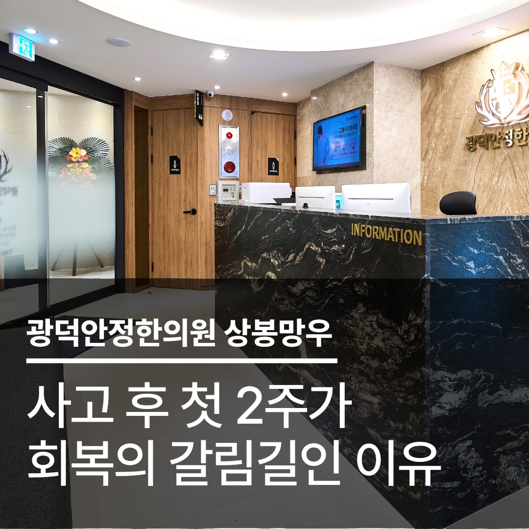 상봉역교통사고한의원, 사고 후 첫 2주가 회복의 갈림길인 이유