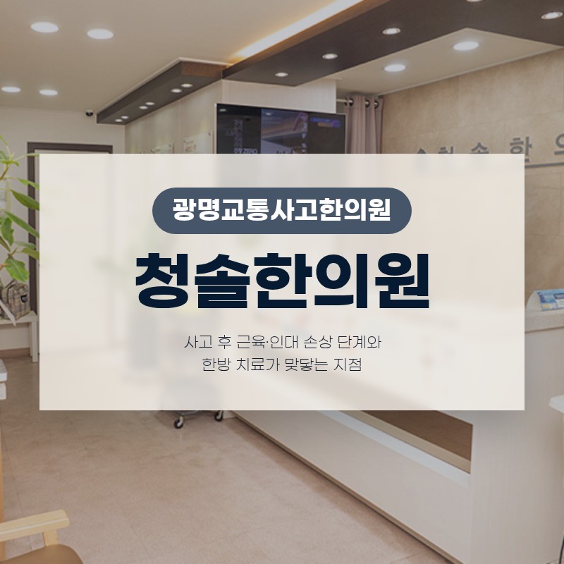 광명교통사고한의원 교통사고 후 근육·인대 손상 단계와 한방 치료가 맞닿는 지점