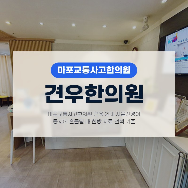 마포교통사고한의원 근육·인대·자율신경이 동시에 흔들릴 때 한방 치료 선택 기준