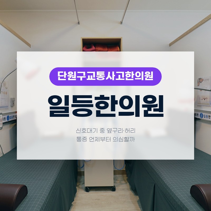 단원구교통사고한의원 신호대기 중 옆구리·허리 통증 언제부터 의심할까